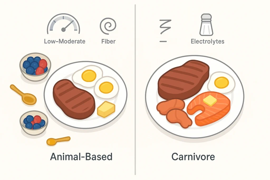 Animal-based and carnivore plates shown side by side with simple icons for carbs, fiber, and electrolytes.