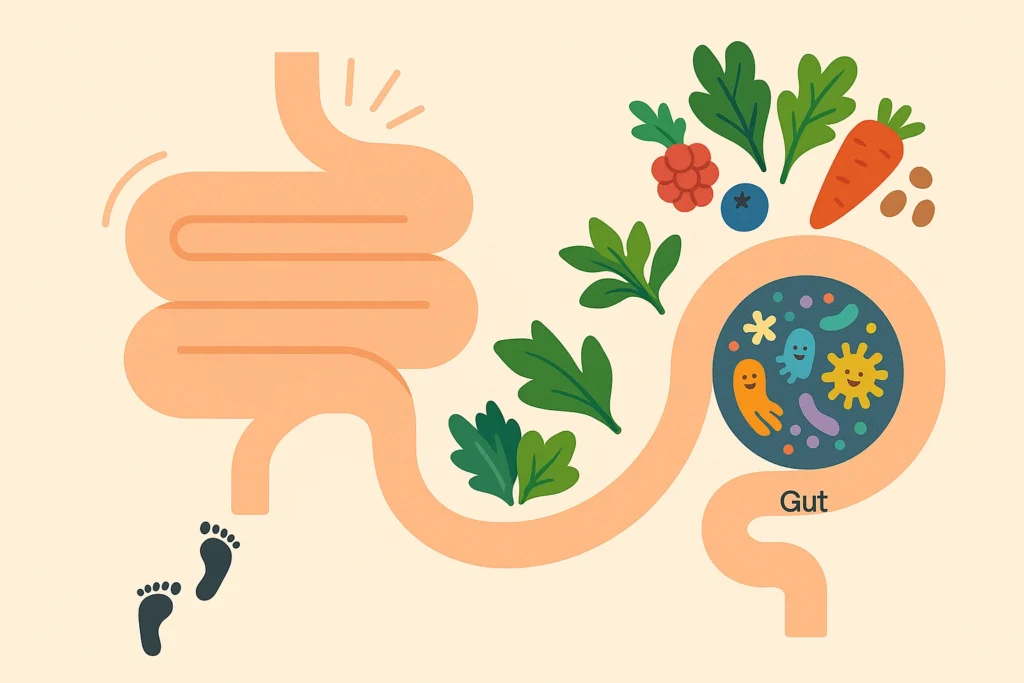 Friendly illustration of digestion improving as healthy foods and movement support a thriving gut microbiome.